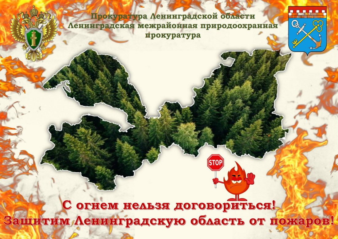 Извещение о проведении открытого конкурса на право заключения договора  управления многоквартирным домом | Калитинское сельское поселение